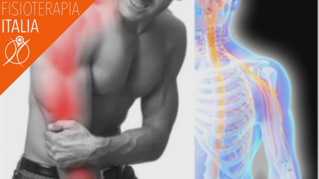 Camerani Osteopatia Roma - Cervicale: sintomi, cause, cure e rimedi Il  dolore cervicale (o cervicalgia) si configura come un dolore localizzato in  corrispondenza del collo, che spesso si irradia verso braccia e
